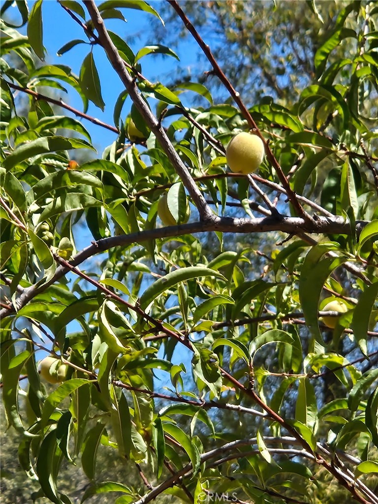 https://media.crmls.org/medias/0ffb7f1a-c0dd-423a-ac01-ec065117bec9.jpg?preset=X-Large