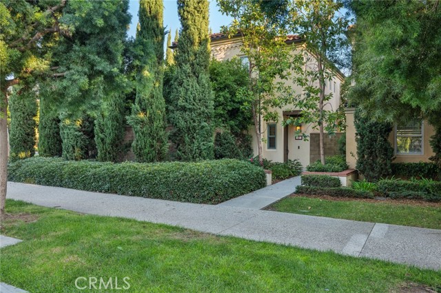 Front Image Thumbnail for CROC25270244