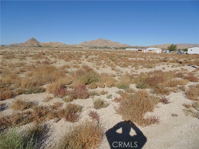 10650 KENDALL Road, Lucerne Valley, California 92356, ,Land,For Sale,10650 KENDALL Road,CREV23189110