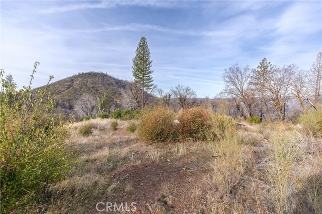 2261 Lumpkin Road, Oroville, California 95966, ,Land,For Sale,2261 Lumpkin Road,CRSN23227177