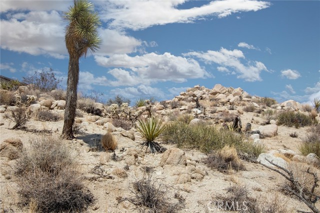 Detail Gallery Image 12 of 13 For 999 Mandarin Rd, Yucca Valley,  CA 92284 - – Beds | – Baths