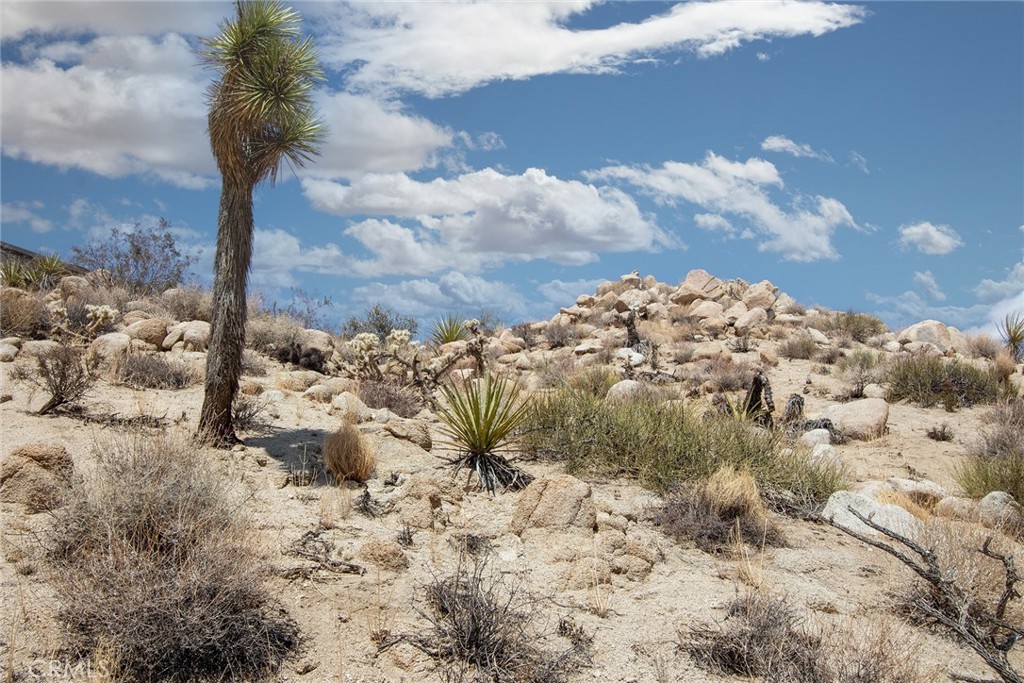 MLS #JT24207302 image #11