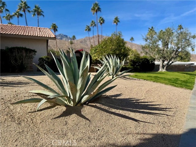 Detail Gallery Image 5 of 37 For 1961 S Camino Real #2,  Palm Springs,  CA 92264 - 2 Beds | 2 Baths