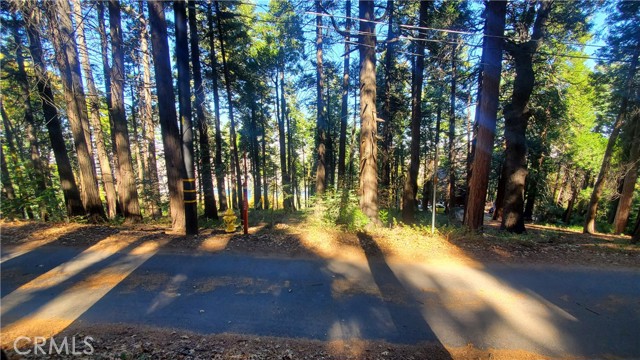 Front Image Thumbnail for CRIV25251207