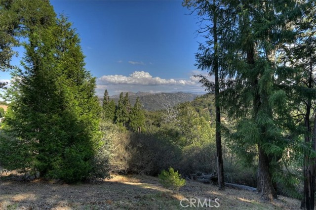 729 Minty Pine Drive, Cedarpines Park, CA 92322