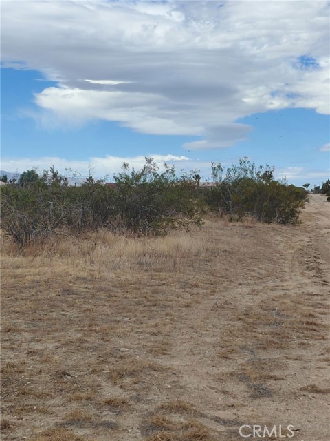  Land for Sale in Phelan, California