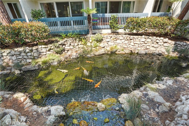 Soothing koi pond right outside the home Soothing koi pond right outside the home
