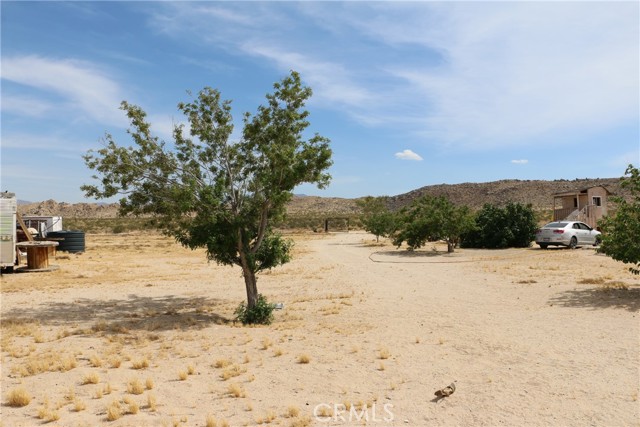 Detail Gallery Image 42 of 48 For 42480 Buckeye Ln, Lucerne Valley,  CA 92356 - 2 Beds | 2 Baths