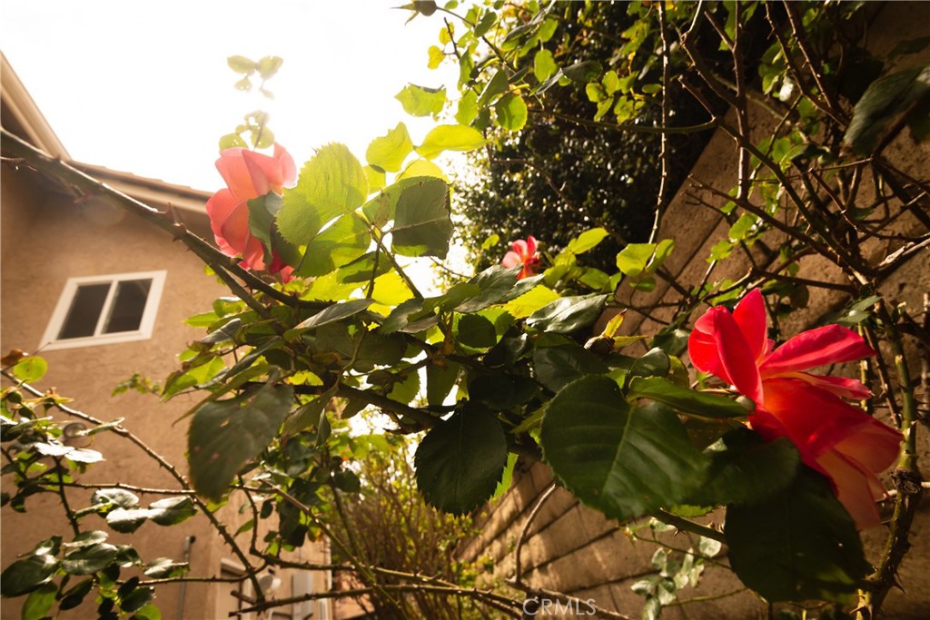 https://media.crmls.org/medias/1014772d-66ca-478c-93c5-ba2387743f5d.jpg?preset=X-Large