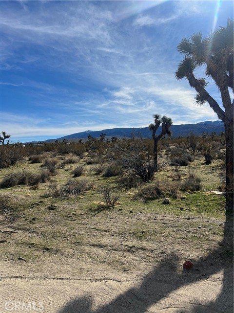 Detail Gallery Image 6 of 15 For 206 S Cor Ave X Largo Vista 2, Llano,  CA 93544 - – Beds | – Baths