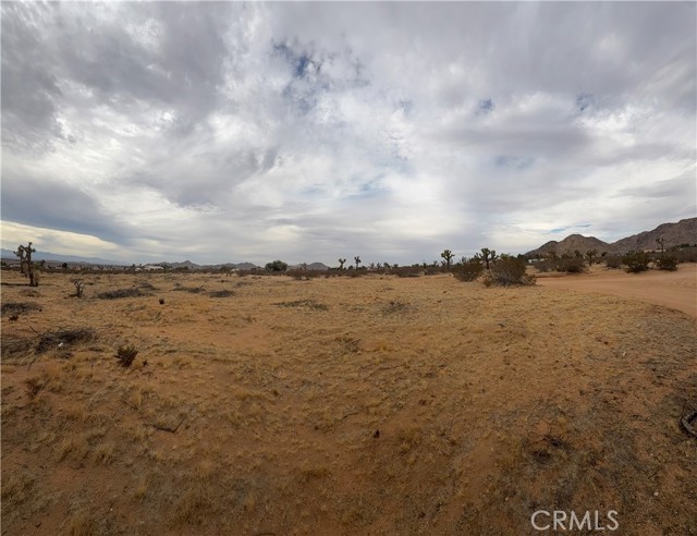 Detail Gallery Image 5 of 6 For 16252 Olema Rd, Apple Valley,  CA 92307 - – Beds | – Baths