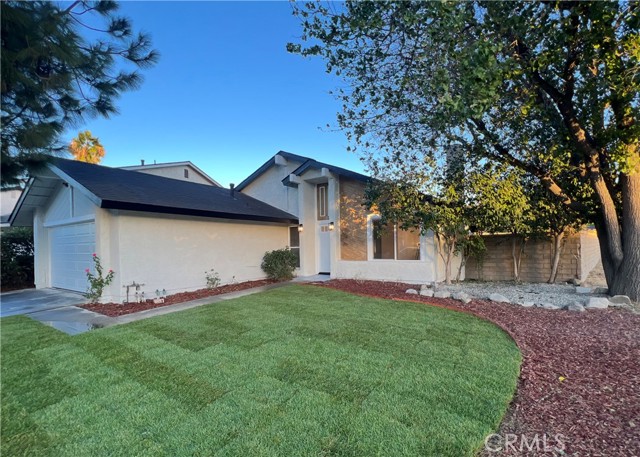 27502 Caraway