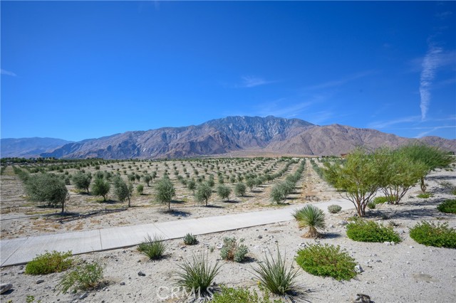 Detail Gallery Image 28 of 29 For 296 Mustang Ln, Palm Springs,  CA 92262 - 3 Beds | 3/1 Baths