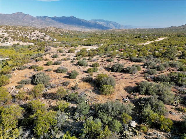 Front Image Thumbnail for CRJT26025786