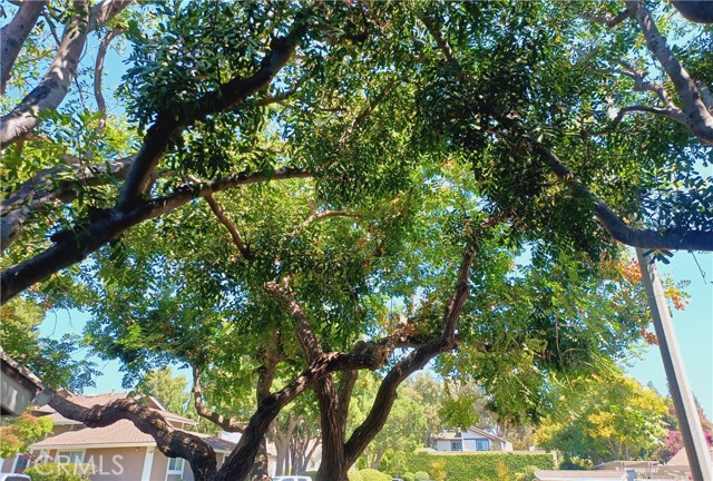 Detail Gallery Image 41 of 41 For 195 Gazania Ct #34,  Thousand Oaks,  CA 91362 - 1 Beds | 1/1 Baths
