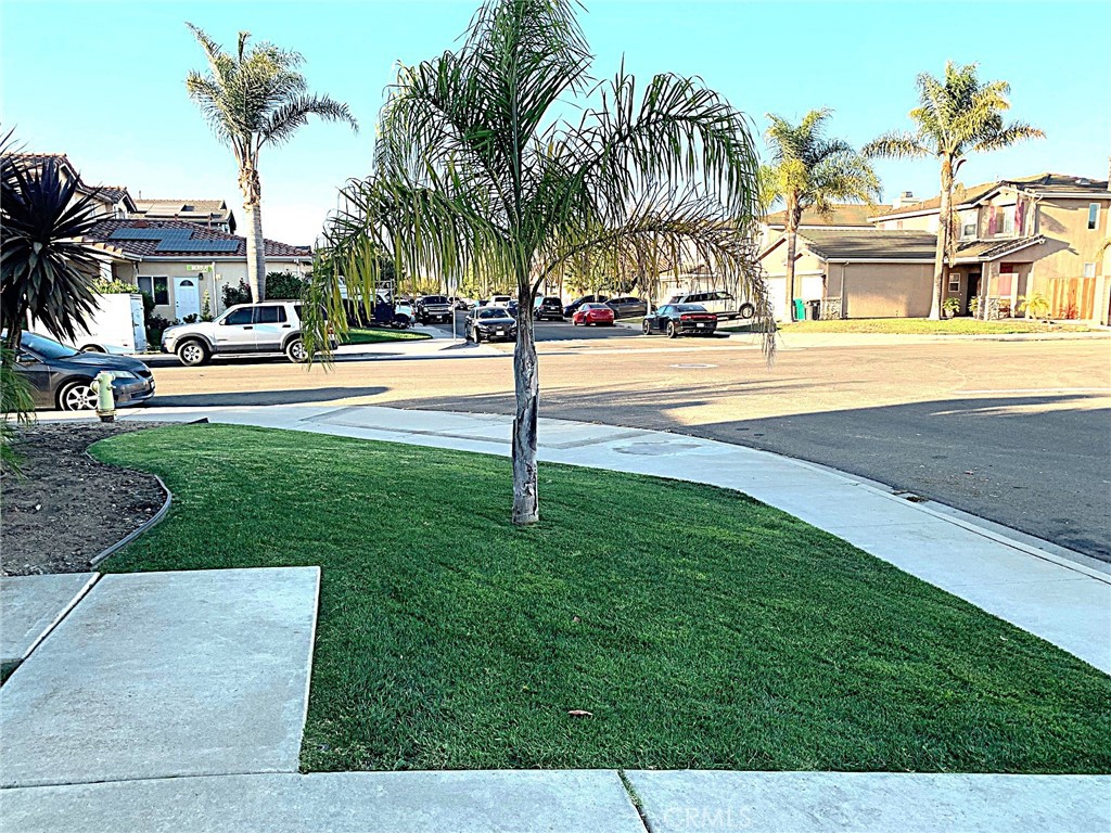 MLS #PI26209879 image #5