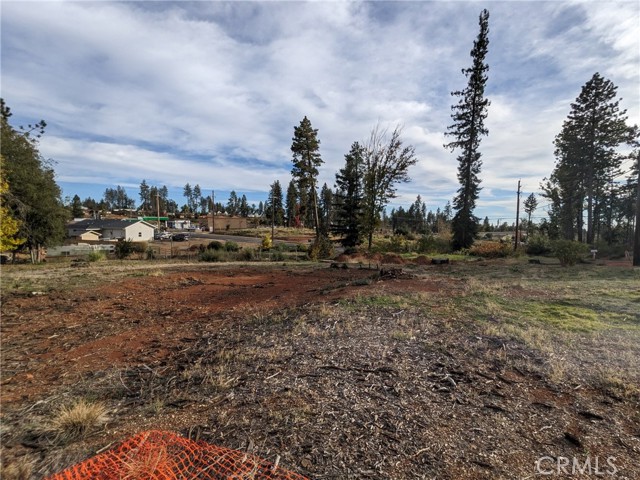 6642 Whittall Lane, Paradise, California 95969, ,Land,For Sale,6642 Whittall Lane,CRSN23205819