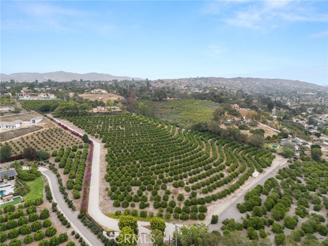 25 Encino Avenue, Camarillo CA: https://media.crmls.org/medias/1029a159-5625-42e3-bb15-252064aa3825.jpg