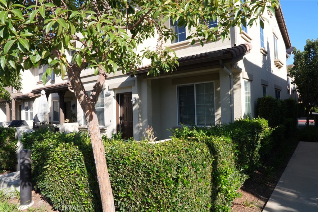 102e90e4 798f 4f1e Bf65 A939b2e45e7b