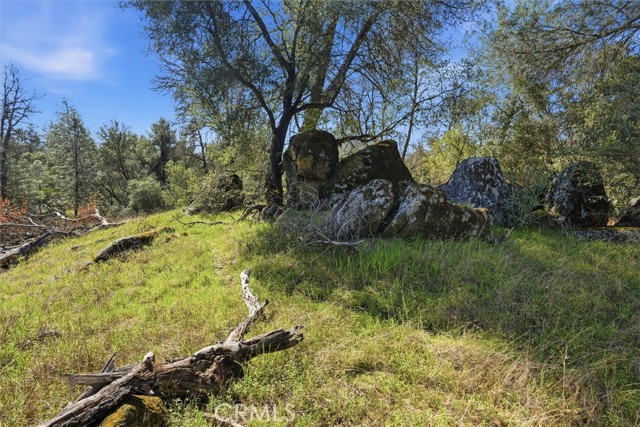 Detail Gallery Image 8 of 34 For 4251 Burl, Mariposa,  CA 95338 - – Beds | – Baths