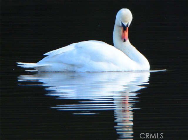 Detail Gallery Image 70 of 72 For 3153 Saint Francis Dr, Lakeport,  CA 95453 - 3 Beds | 2 Baths