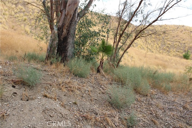 3448 N Beverly Drive, San Bernardino CA: https://media.crmls.org/medias/103b0bca-d801-47e1-91df-8f556453e9f8.jpg