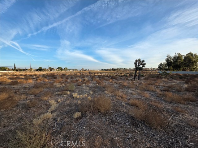 Detail Gallery Image 19 of 21 For 42652 15th St W, Lancaster,  CA 93534 - – Beds | – Baths