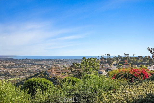 Detail Gallery Image 36 of 42 For 31232 Palma Dr, Laguna Niguel,  CA 92677 - 2 Beds | 2 Baths