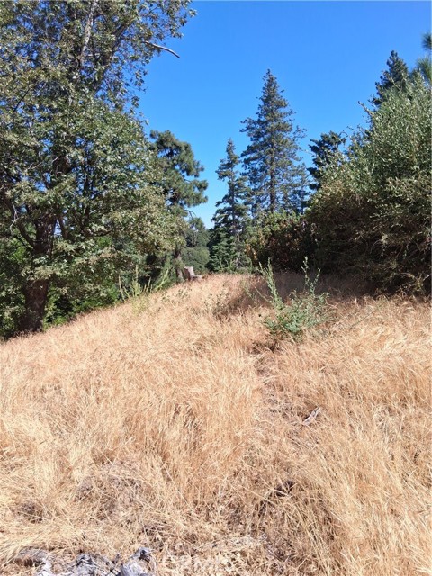 839 Arbula Drive, Crestline CA: https://media.crmls.org/medias/104125be-b753-4028-985d-677827deedfd.jpg