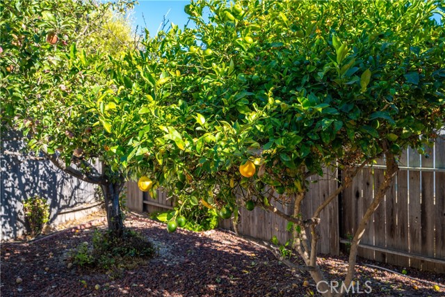 Detail Gallery Image 53 of 68 For 1154 Pradera Ct, Arroyo Grande,  CA 93420 - 3 Beds | 2 Baths