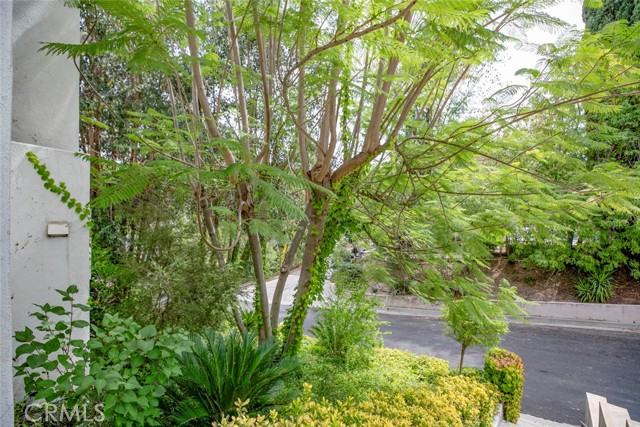 22619 Holanda Road, Woodland Hills CA: https://media.crmls.org/medias/104bce5e-cf6c-4fcc-a848-43451c5873cd.jpg