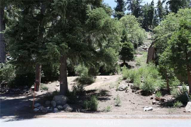 Detail Gallery Image 7 of 12 For 1013 Knickerbocker Rd, Big Bear Lake,  CA 92315 - – Beds | – Baths