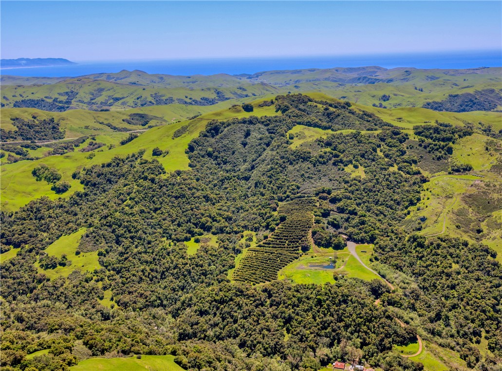 Detail Gallery Image 5 of 71 For 7515 Santa Rosa Creek Rd, Cambria,  CA 93428 - 2 Beds | 1 Baths