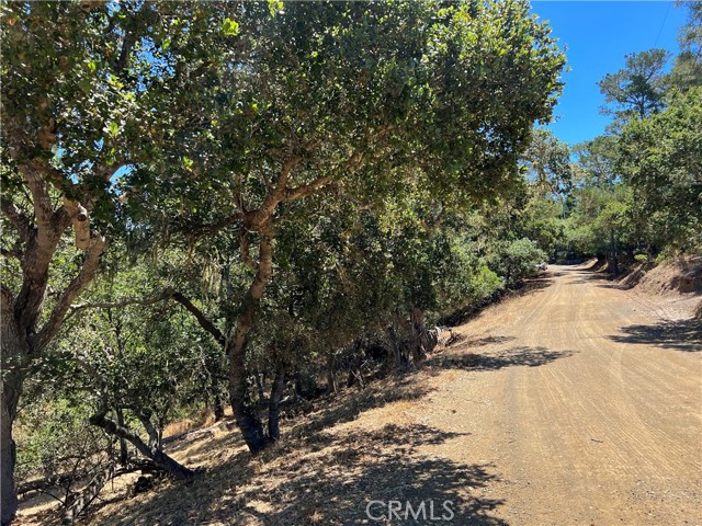 0 Melrose Avenue, Cambria, California 93428, ,Land,For Sale,0 Melrose Avenue,CRSC23151978