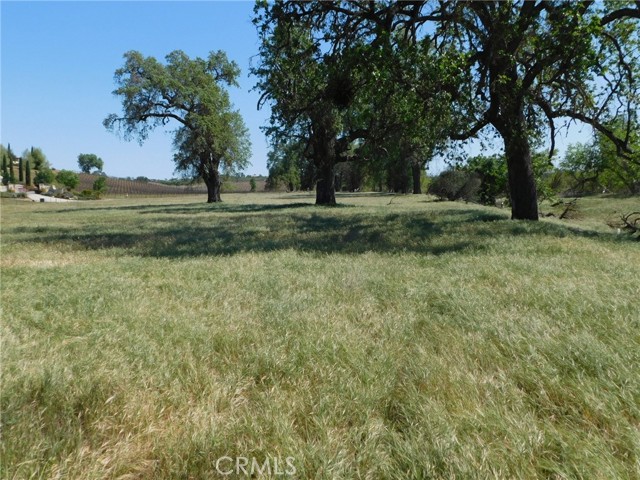 Detail Gallery Image 37 of 71 For 6675 Webster Rd, Creston,  CA 93432 - – Beds | – Baths