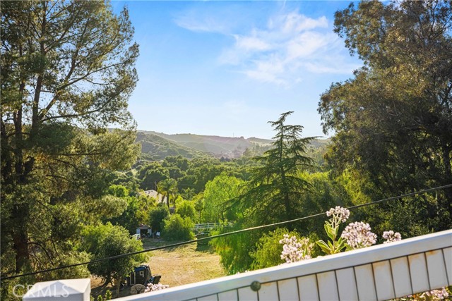 Detail Gallery Image 62 of 71 For 30737 Hasley Canyon Rd, Castaic,  CA 91384 - 4 Beds | 3 Baths