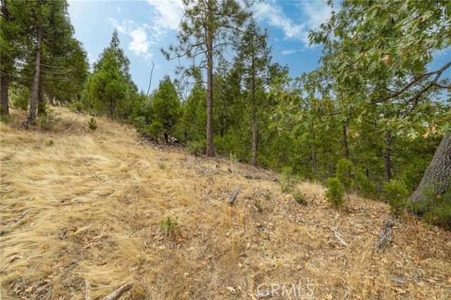 Detail Gallery Image 48 of 55 For 26 Timberview, North Fork,  CA 93643 - – Beds | – Baths