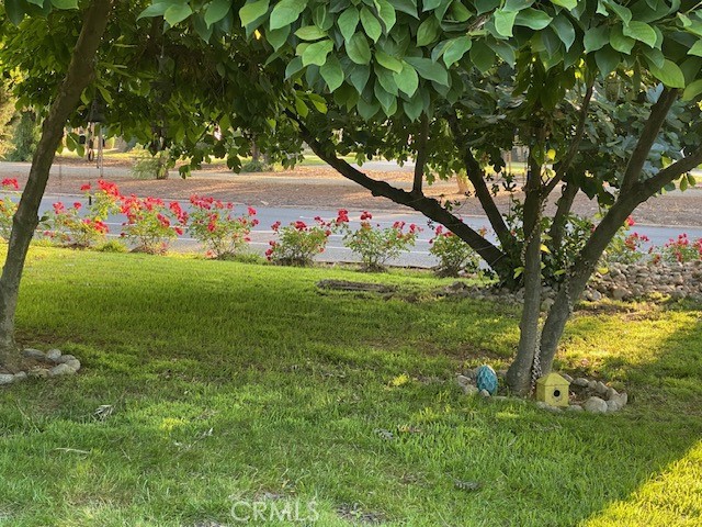 https://media.crmls.org/medias/105fe865-d2d0-4d4d-9cf5-4ab79030aa80.jpg?preset=X-Large