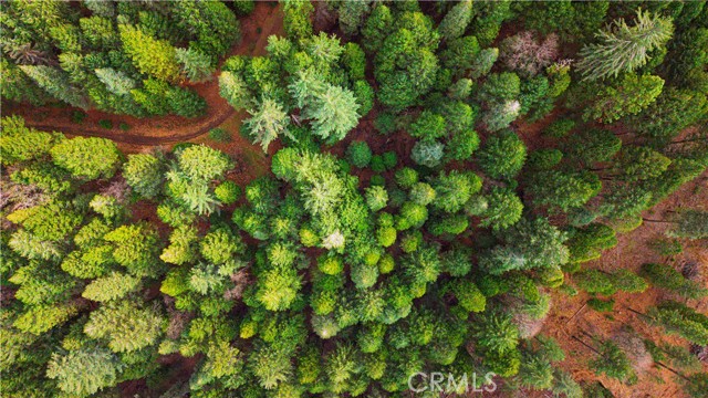 Detail Gallery Image 6 of 22 For 5435 Pine Ridge, Grizzly Flats,  CA 95636 - – Beds | – Baths