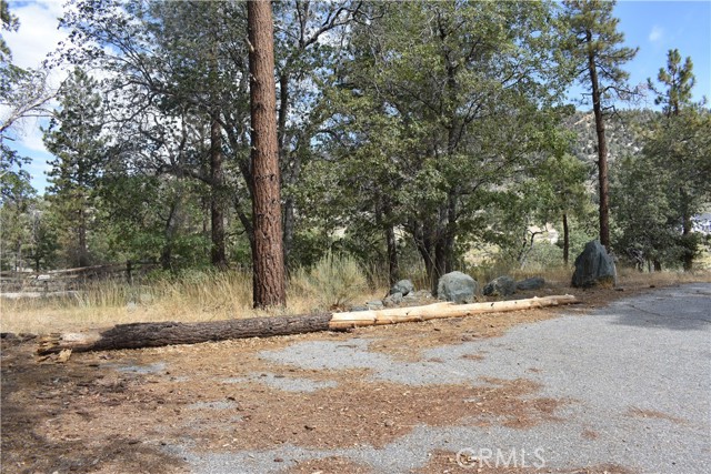 0 Logwood, Wrightwood, CA, 92397 0 Logwood, Wrightwood, CA, 92397