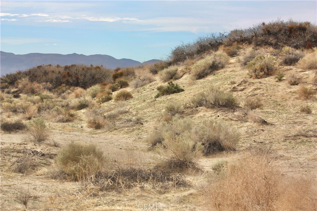 MLS #JT25270168 image #16