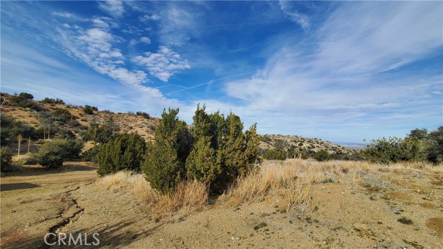 MLS #SR25242278 image #41