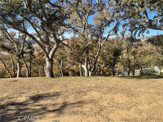 2474 Captains, Bradley, California 93426, ,Land,For Sale,2474 Captains,CRNS23227511