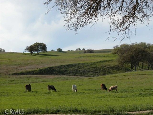 Image 3 of 59 For 3470 Ranchita Cyn Rd