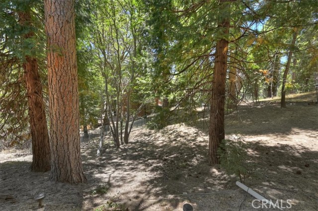 Property Photo 38