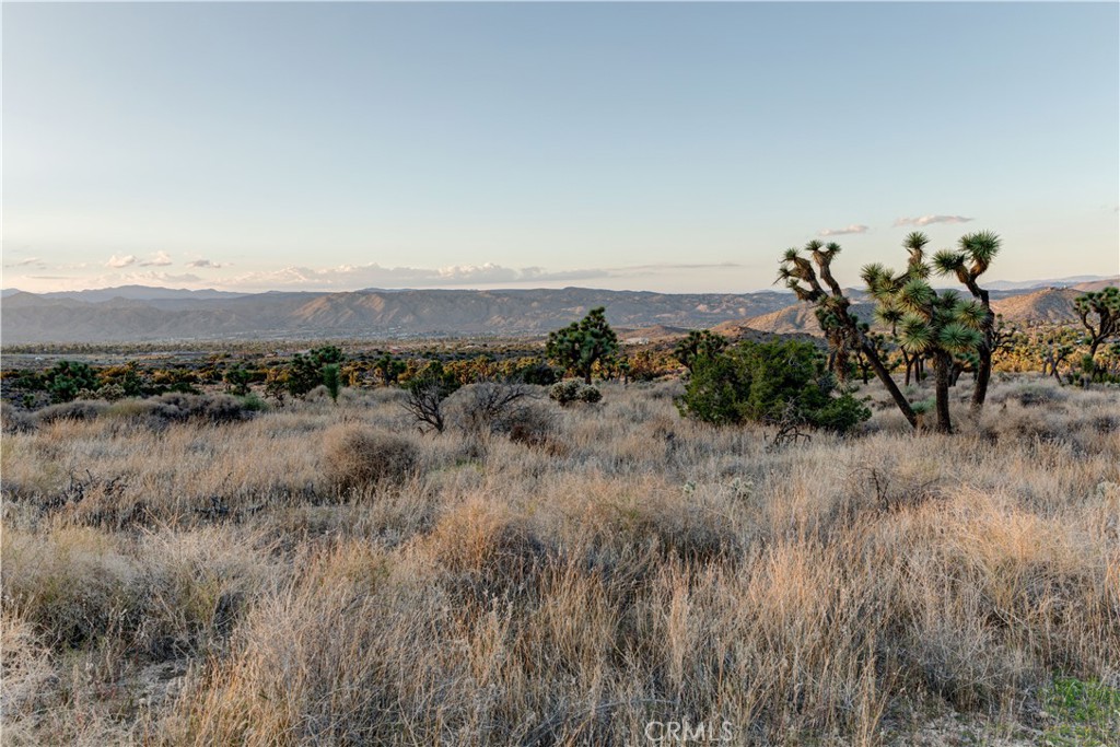 MLS #JT25229239 image #40