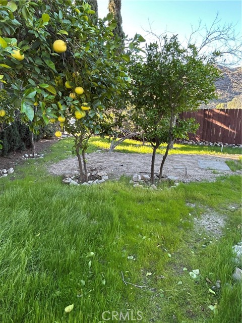 Detail Gallery Image 15 of 19 For 9241 Pali, Tujunga,  CA 91042 - 3 Beds | 2 Baths