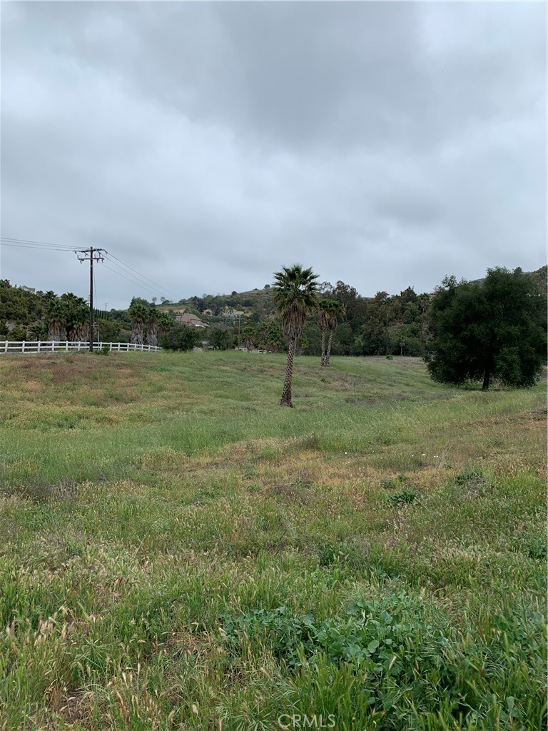 MLS #SW25263649 image #30