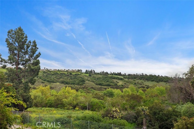 4 Chisholm Trail, Trabuco Canyon CA: https://media.crmls.org/medias/109210ee-71b4-408c-a165-af8837765d3c.jpg