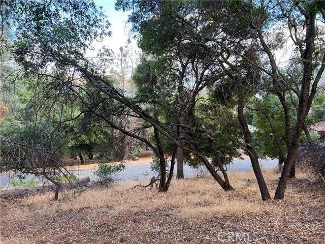 4720 Kah Bel Trail, Kelseyville, California 95451, ,Land,For Sale,4720 Kah Bel Trail,CRLC23164498